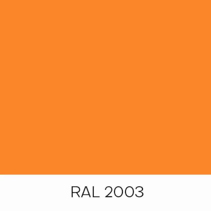 RAL2003