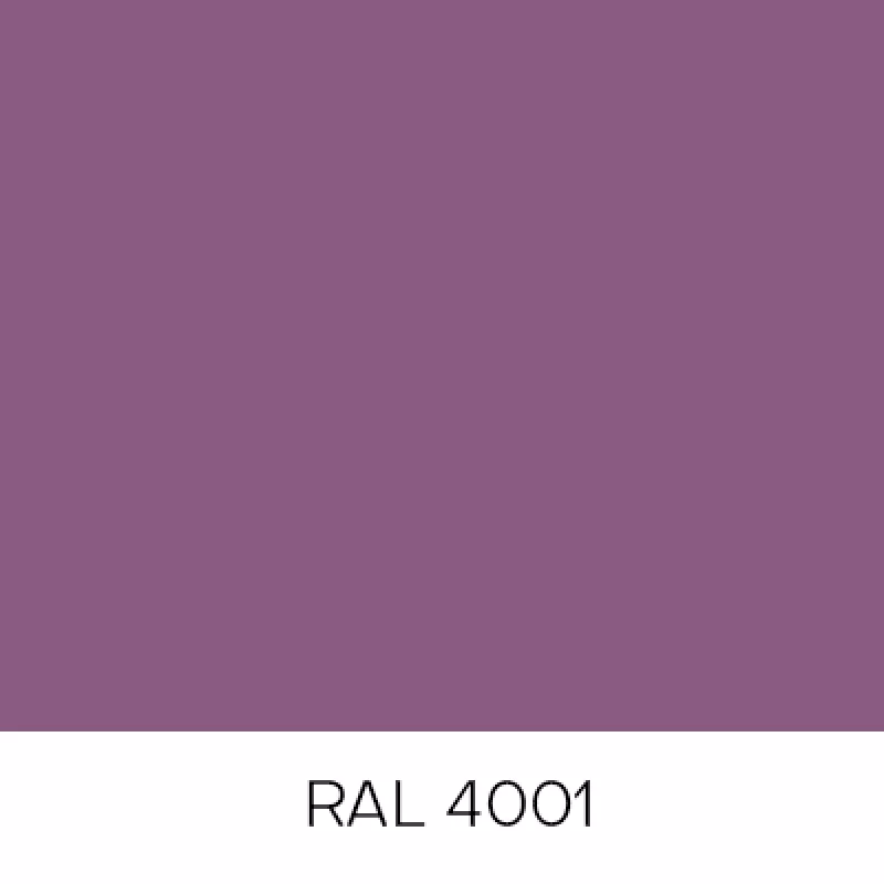 RAL4001