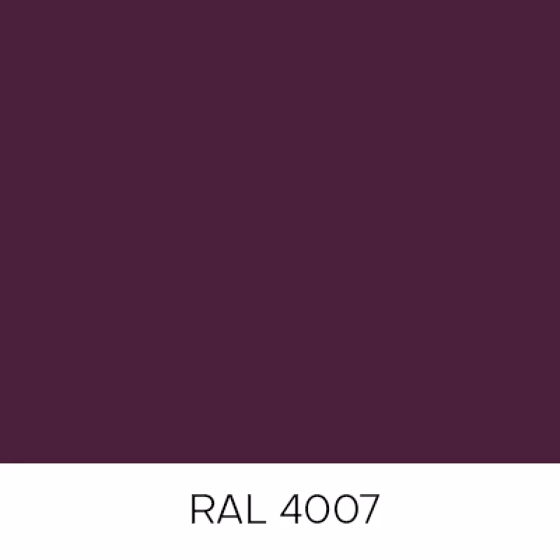 RAL4007