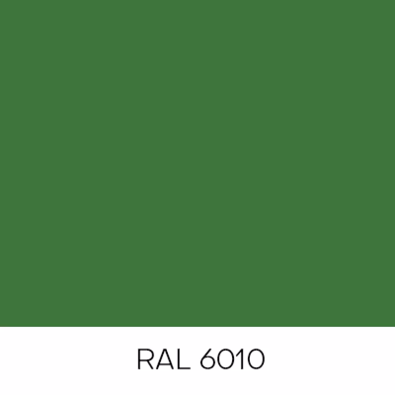 RAL6010