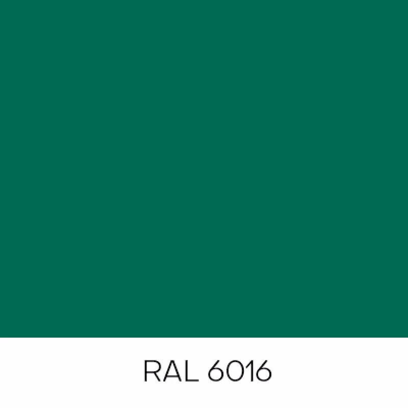 RAL6016