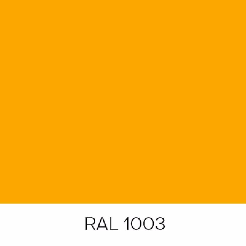 RAL1003