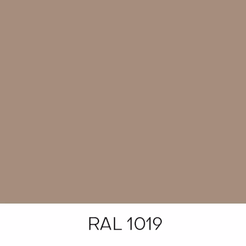 RAL1019