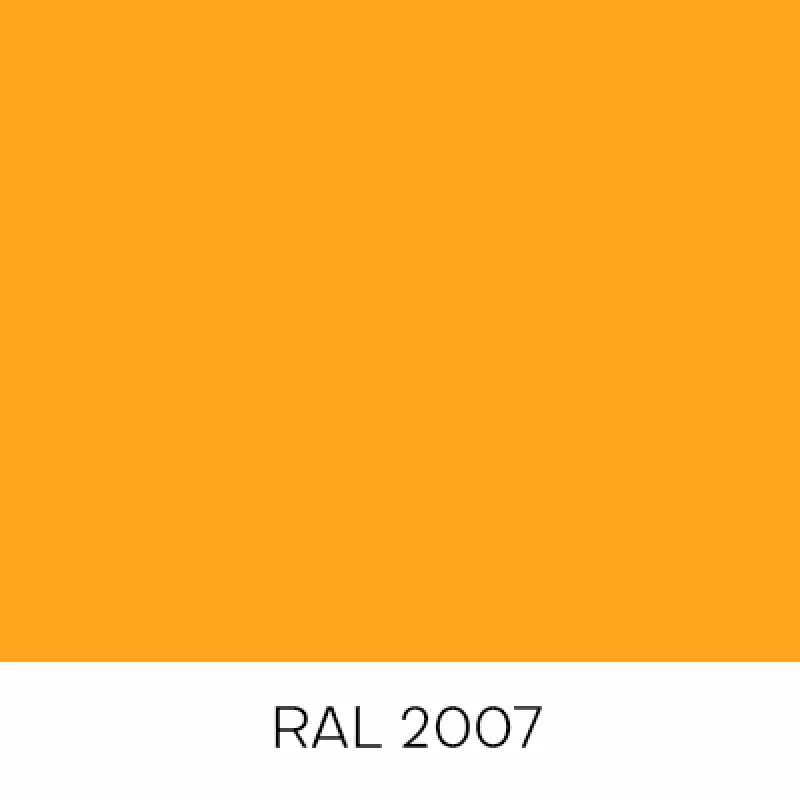 RAL2007