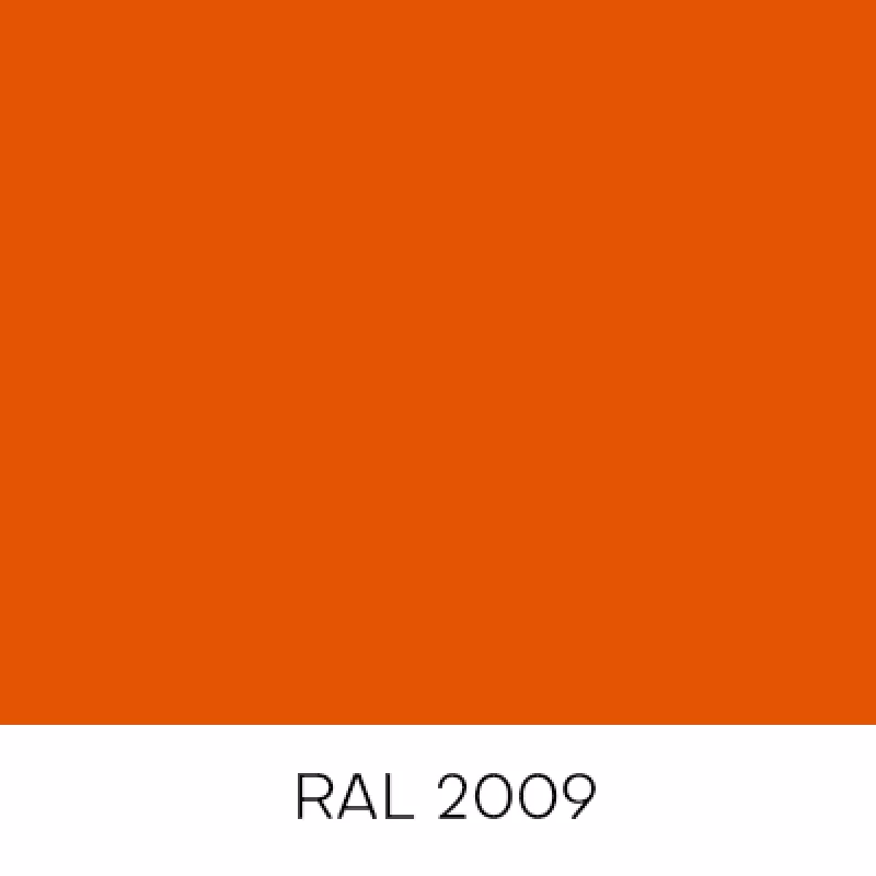 RAL2009