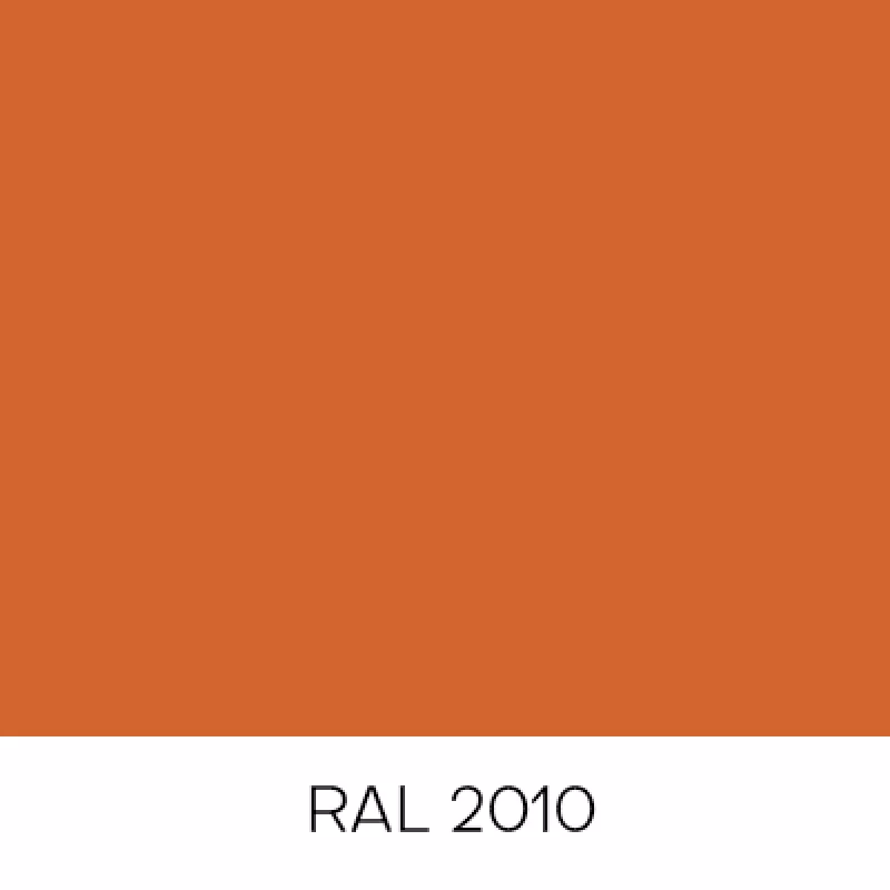 RAL2010