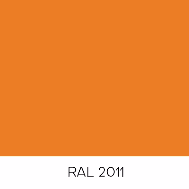 RAL2011