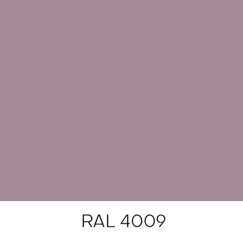 RAL4009