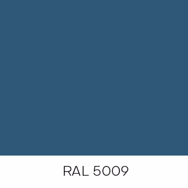 RAL5009