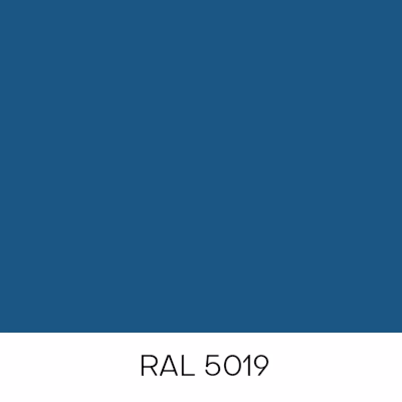 RAL5019