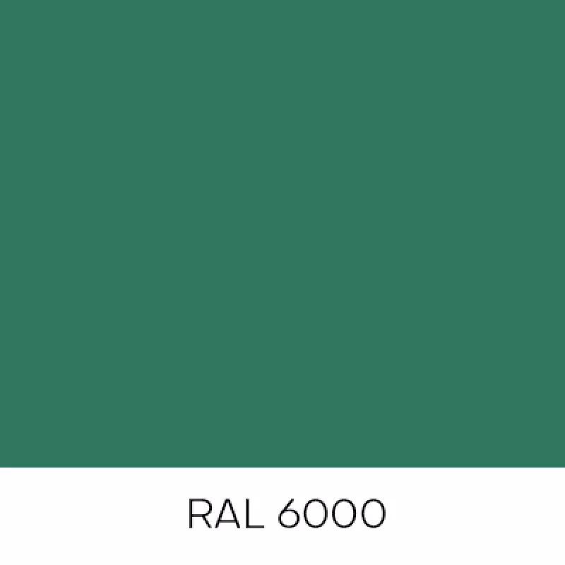 RAL6000