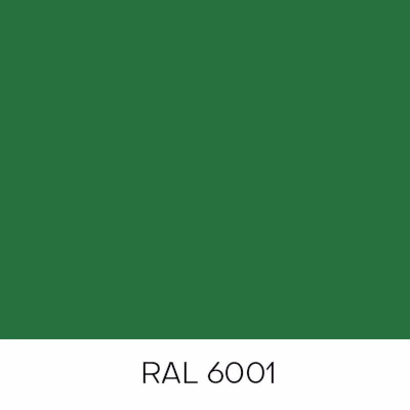 RAL6001
