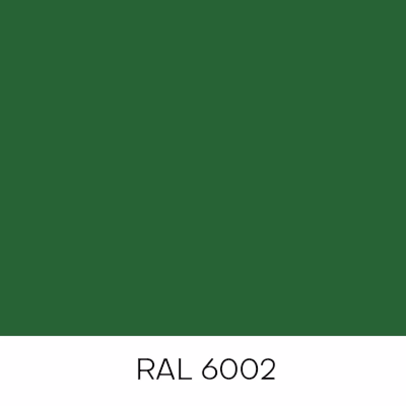RAL6002