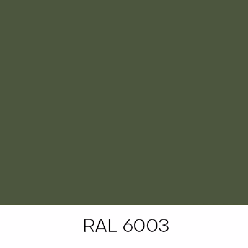 RAL6003