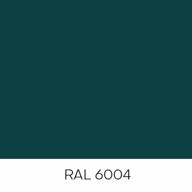 RAL6004