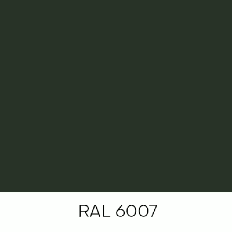RAL6007