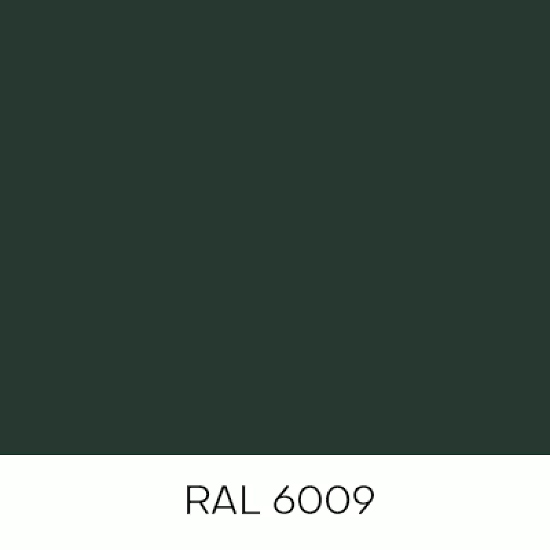 RAL6009