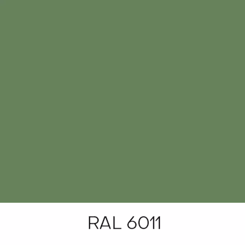 RAL6011