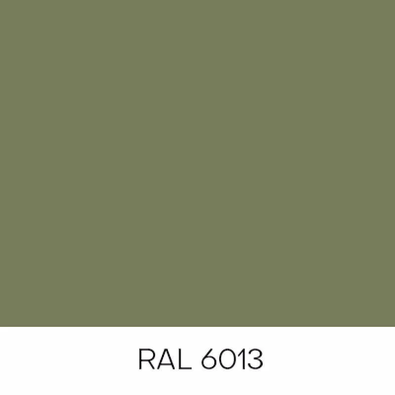 RAL6013