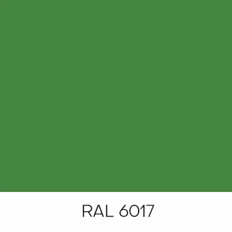 RAL6017