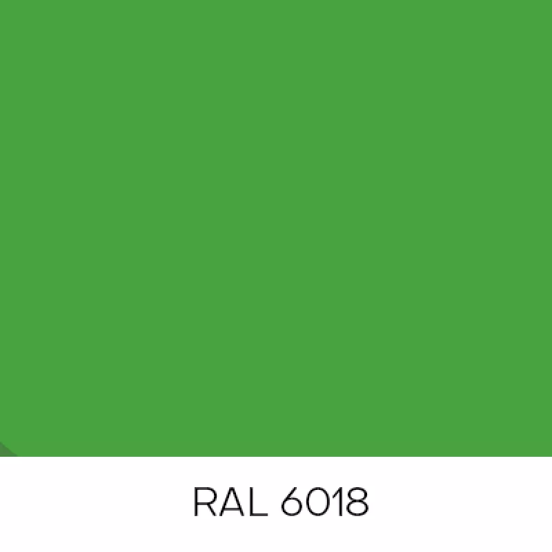 RAL6018