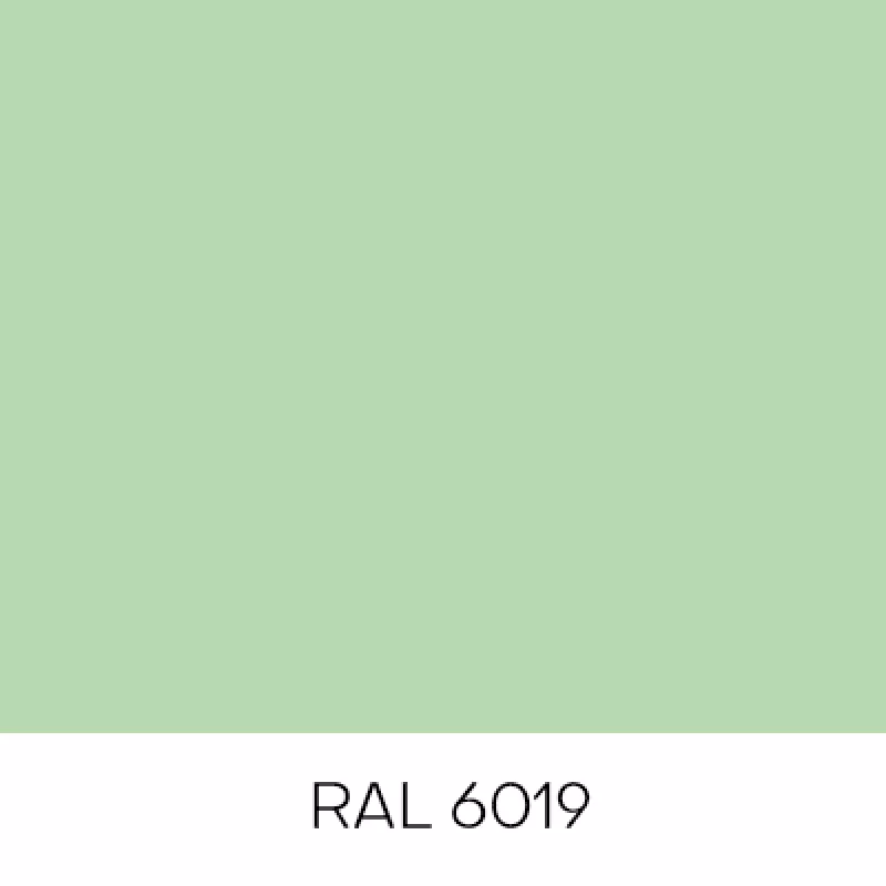 RAL6019