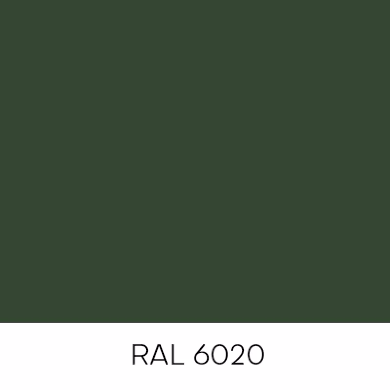 RAL6020