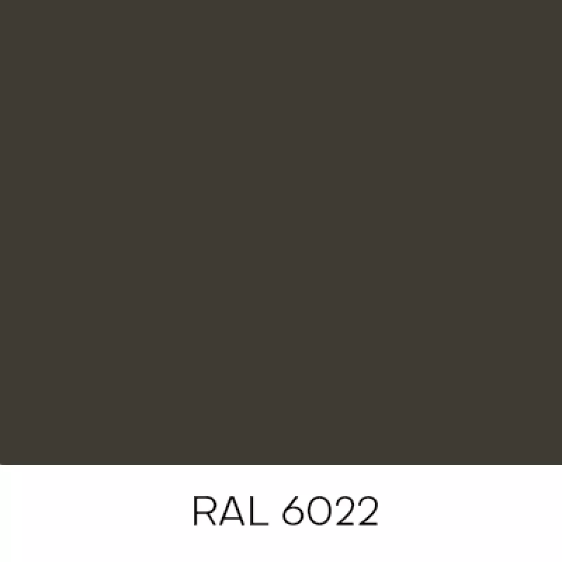 RAL6022