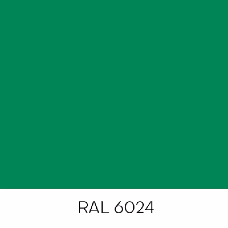 RAL6024