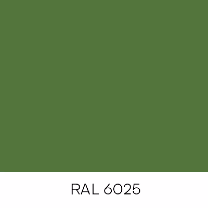 RAL6025