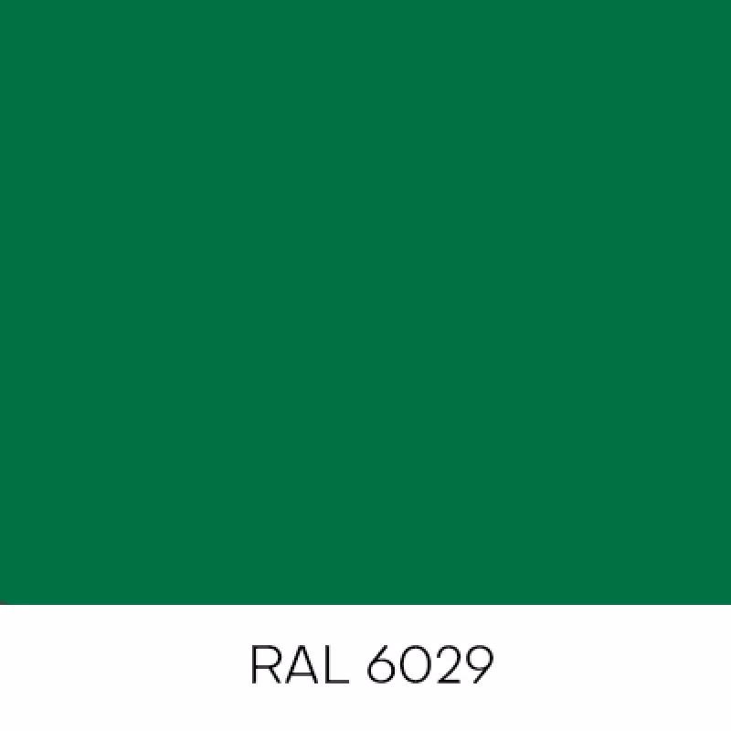 RAL6029