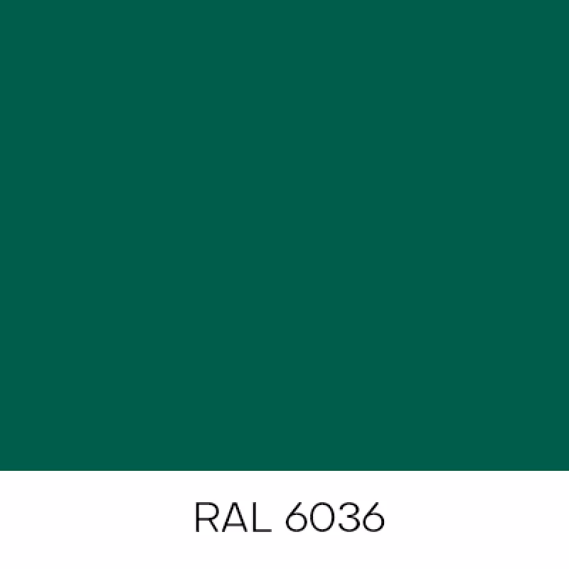 RAL6036