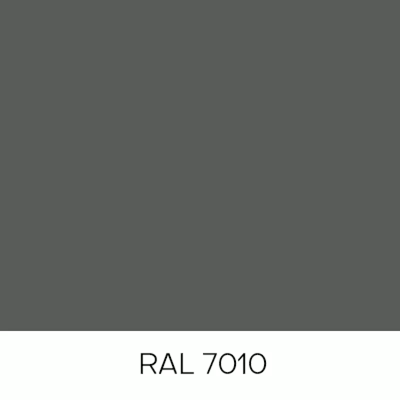 RAL7010