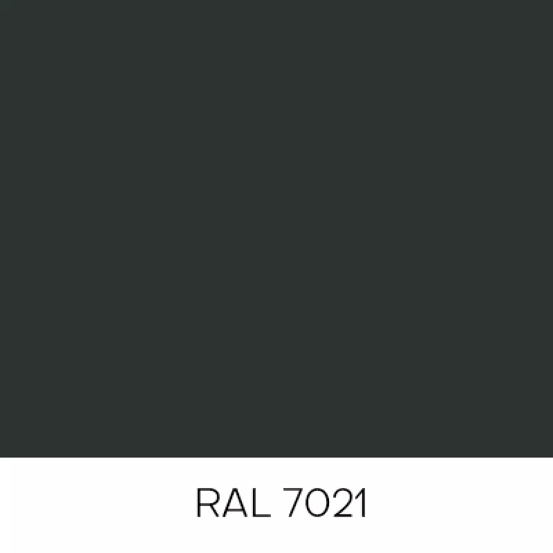 RAL7021